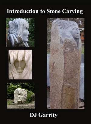 Introduction to Stone Carving de Dj Garrity