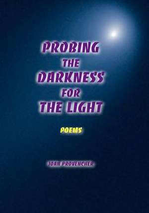 Probing the Darkness for the Light de Joan Provencher