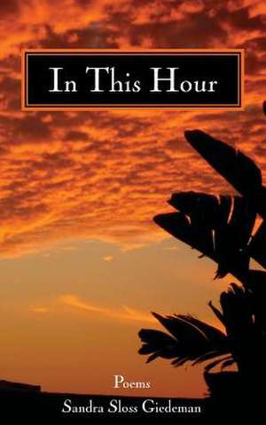 In This Hour de Sandra Sloss Giedeman