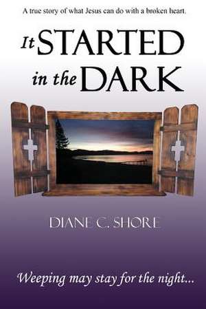 It Started in the Dark de Diane C. Shore