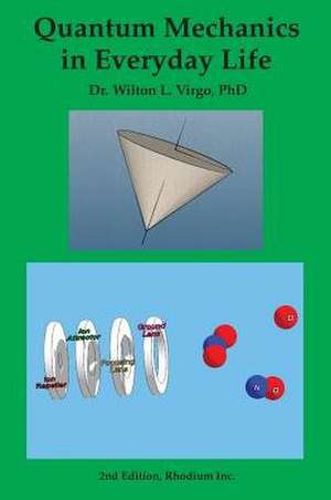 Quantum Mechanics in Everyday Life de Wilton L. Virgo