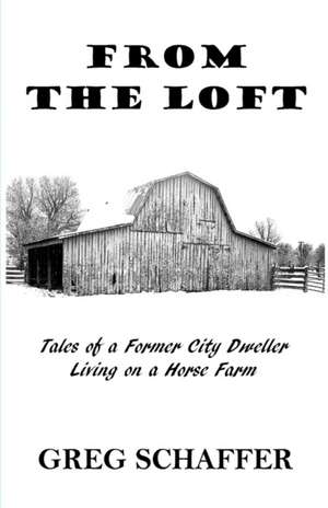 From the Loft de Greg Schaffer