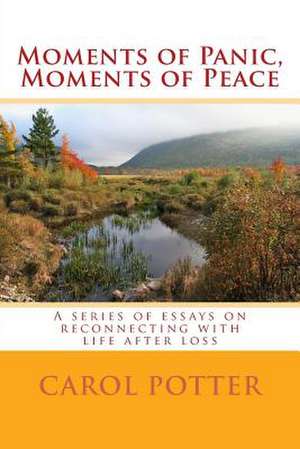 Moments of Panic, Moments of Peace de Carol Potter