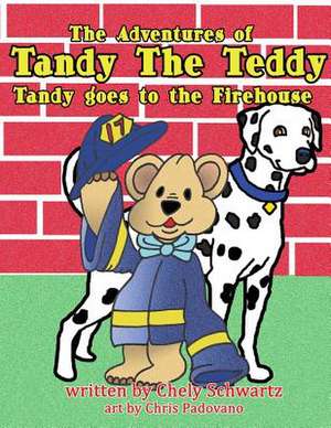 The Adventures of Tandy the Teddy