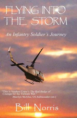 Flying Into The Storm de Bill Norris