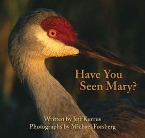 Have You Seen Mary? de Jeff Kurrus