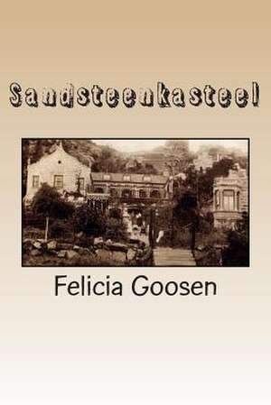 Sandsteenkasteel de Felicia Goosen