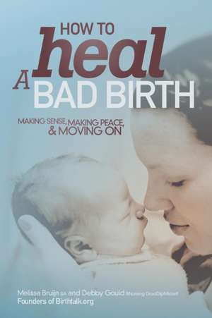 How to Heal a Bad Birth de Melissa J Bruijn