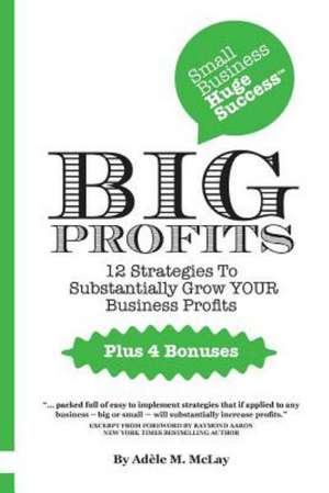 Big Profits de Adele M. McLay