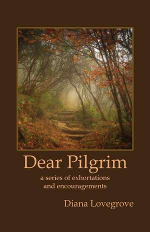 Dear Pilgrim de Diana Lovegrove