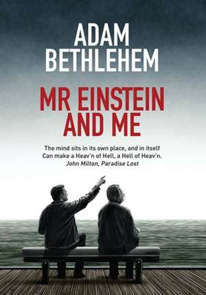 Mr Einstein and Me de Adam Bethlehem