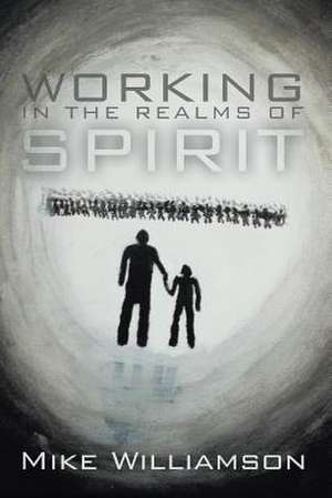 Working in the Realms of Spirit de Mike Williamson