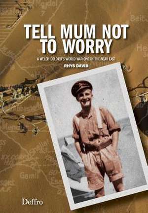 Tell Mum Not to Worry de David Rhys