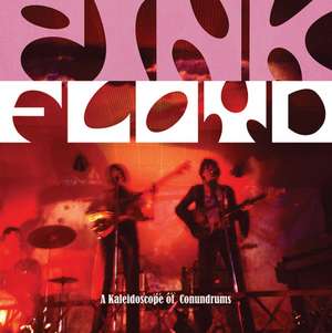 Pink Floyd de Michael A. O'Neill