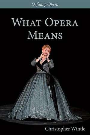 What Opera Means – Categories and Case–studies de Christopher Wintle