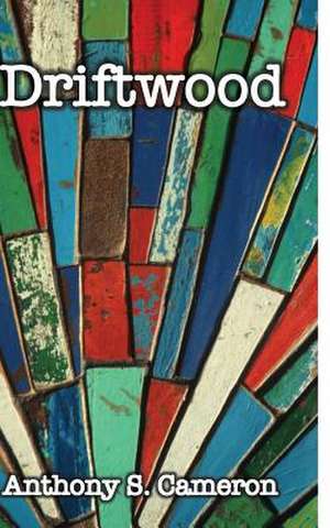 Driftwood de Anthony S. Cameron