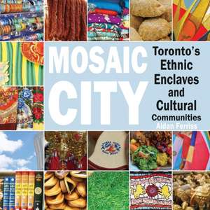 Mosaic City de Aidan Ferriss