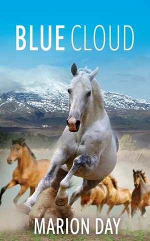 Blue Cloud de Marion Day