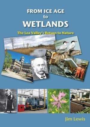 Lewis, J: From Ice Age to Wetlands de Jim Lewis