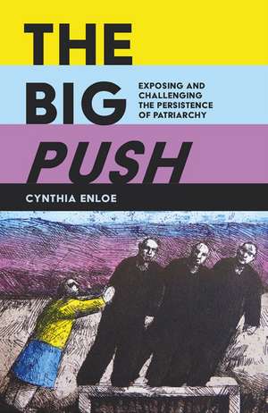 The Big Push: Exposing and Challenging the Persistence of Patriarchy de Cynthia Enloe