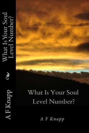 What Is Your Soul Level Number?