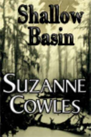 Shallow Basin: Insider Knowledge and Strategies That Work de Suzanne Cowles