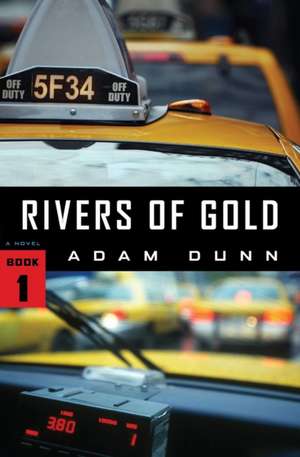 Rivers of Gold de Adam Dunn