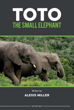 Toto the Small Elephant