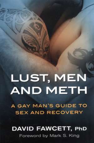 Lust, Men, and Meth de David Michael Fawcett