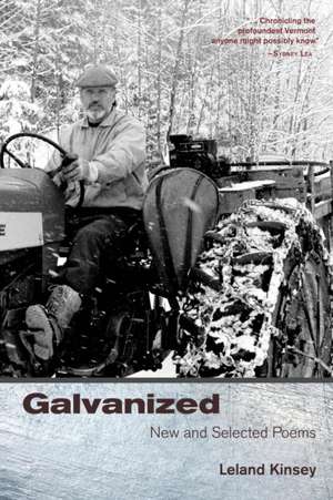 Galvanized: New And Selected Poems de Leland Kinsey