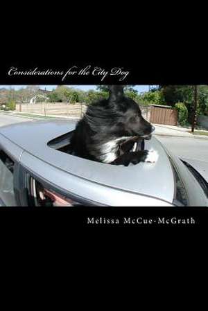 Considerations for the City Dog