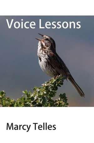 Voice Lessons