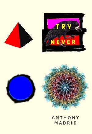 TRY NEVER de Anthony Madrid