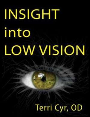 Insight Into Low Vision