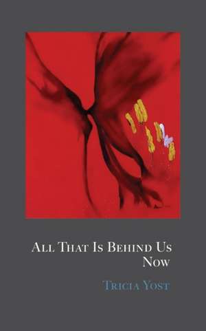 All That Is Behind Us Now de Tricia Yost