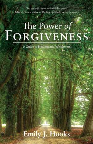 The Power of Forgiveness de Emily J Hooks