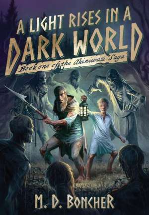 A Light Rises in a Dark World de M. D. Boncher