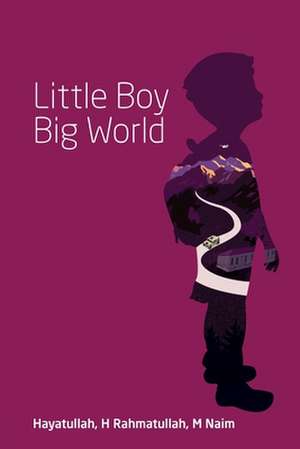 Little Boy Big World de Hayatullah H Rahmatullah M Naim