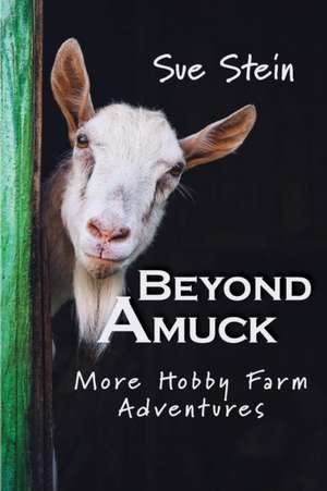 Beyond Amuck de Sue Stein