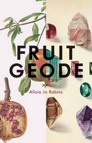 Fruit Geode de Alicia Jo Rabins