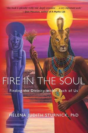 Fire in the Soul de Helena Judith Sturnick