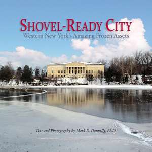 Shovel-Ready City de Mark D Donnelly