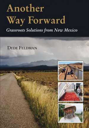 Another Way Forward de Dede Feldman