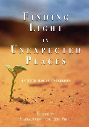 Finding Light in Unexpected Places de Erik Pihel