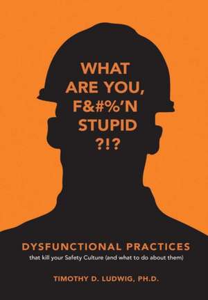 Dysfunctional Practices de Timothy Ludwig