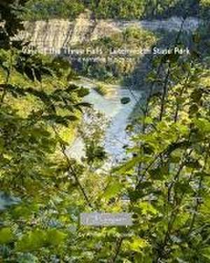 Vale of the Three Falls - Letchworth State Park de Anthony F Graziano