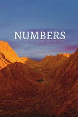 Numbers Bible Journal de Shasta Medrano