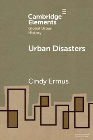 Urban Disasters de Cindy Ermus