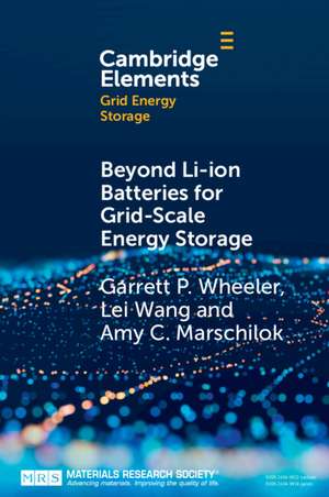 Beyond Li-ion Batteries for Grid-Scale Energy Storage de Garrett P. Wheeler