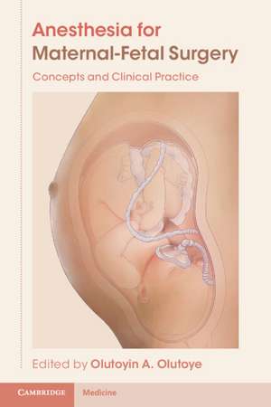 Anesthesia for Maternal-Fetal Surgery: Concepts and Clinical Practice de Olutoyin A. Olutoye